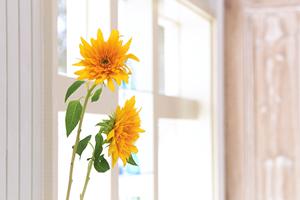 東京都新宿にあるタカラスタンダード新宿ショールームの詳細ガイド