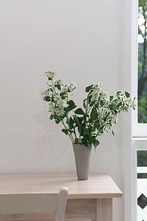 【2024年版】タカラスタンダード立川ショールームの魅力とアクセスガイド