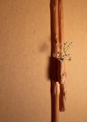 神奈川県横浜市の最大級ショールーム：タカラスタンダード横浜ショップ詳細ガイド